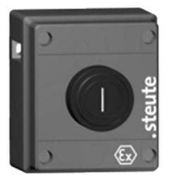 Ex Radio Command Ex RF BF 80 1 DT IP66 II 2G Ex ib IIC T6 (Energy gen.)